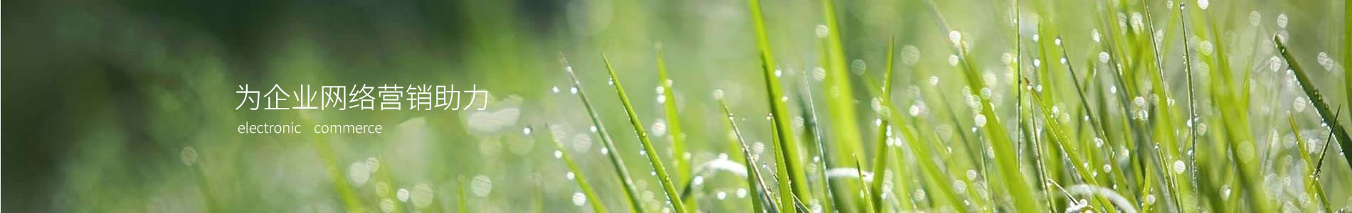 ֣عƼ޹˾
